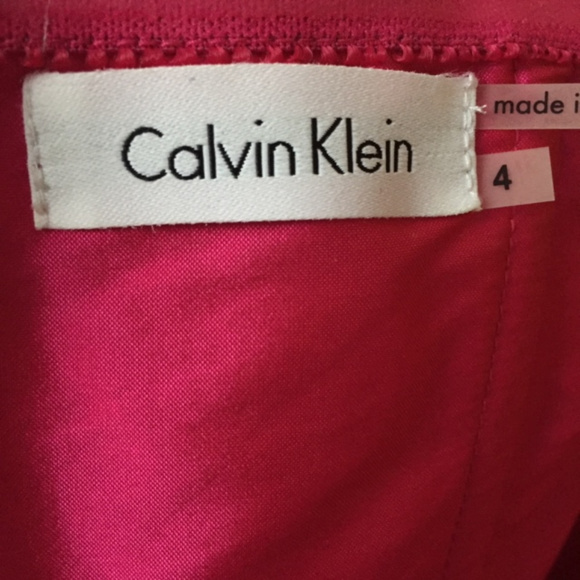 Stunning Fuchsia CK Petal Appliqué Dress - Picture 4 of 8